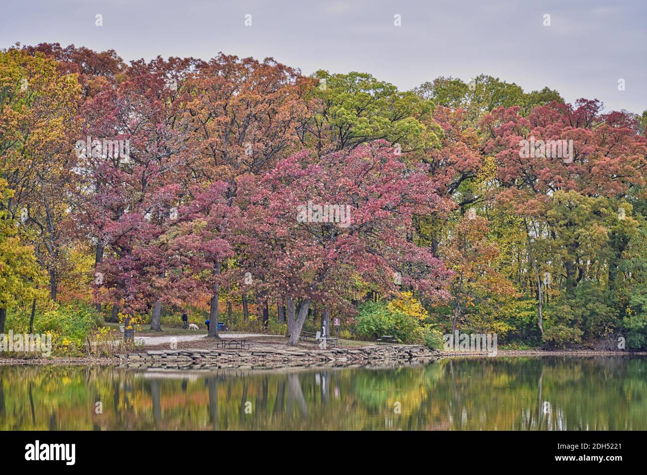 Autumn in the Park with Various Trees Lining the Lakeshore in Red ...