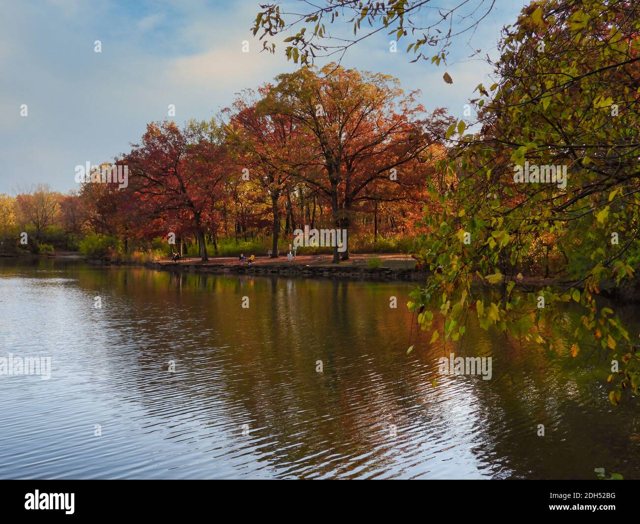 Autumn Landscape View from Park with Fall Colored Trees with Leaves in ...