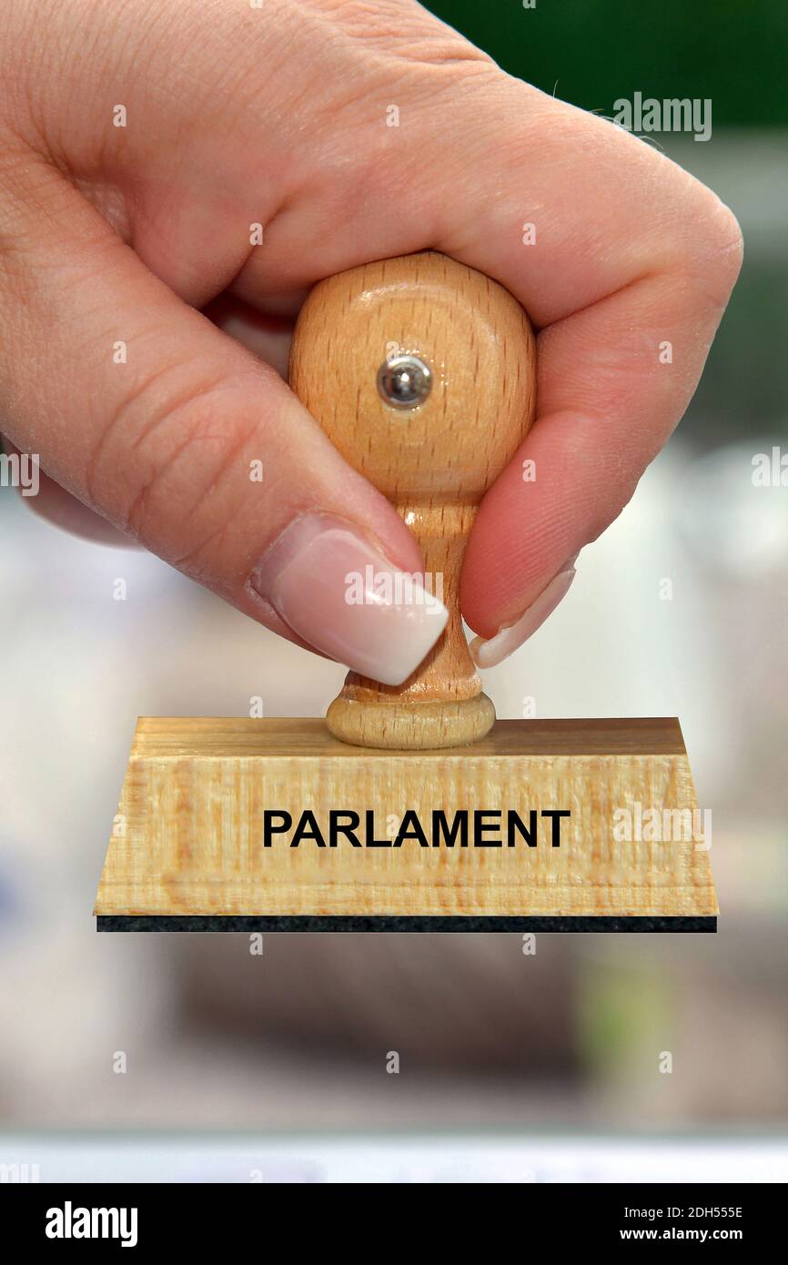Hand mit Stempel, Frauenhand, Aufschrift: Parlament, Bundestag, Stock Photo