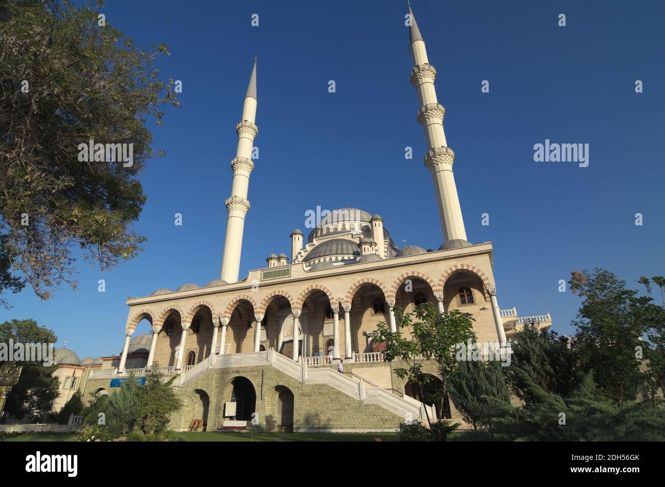 flat/dull models releaseresize !!!!!!!!!!! Haci Veys Zade is the