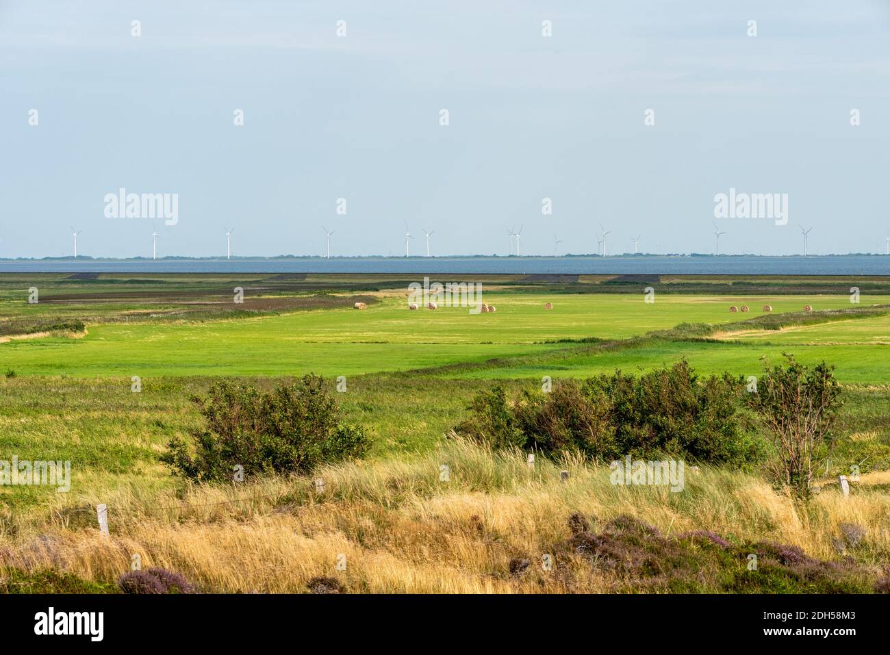 Morsum nature reserve hi-res stock photography and images - Alamy