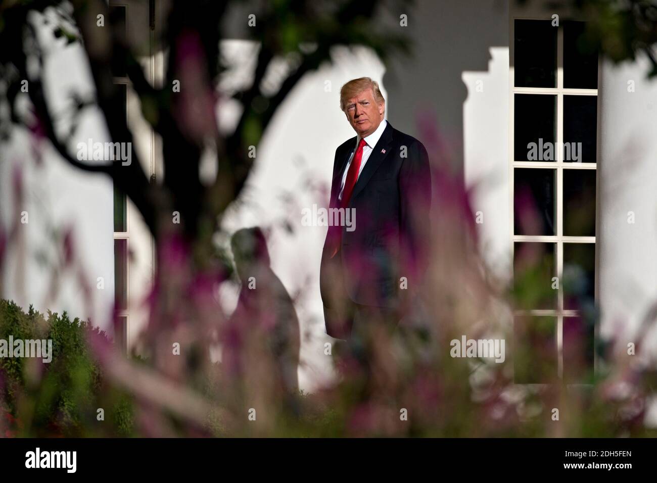 U.S. President Donald Trump walks toward Oval Office of the White House ...