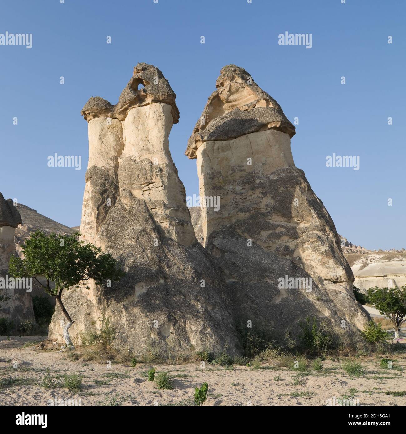 group of fairy chimneys typical rock formation in Goreme, Cappadocia ...