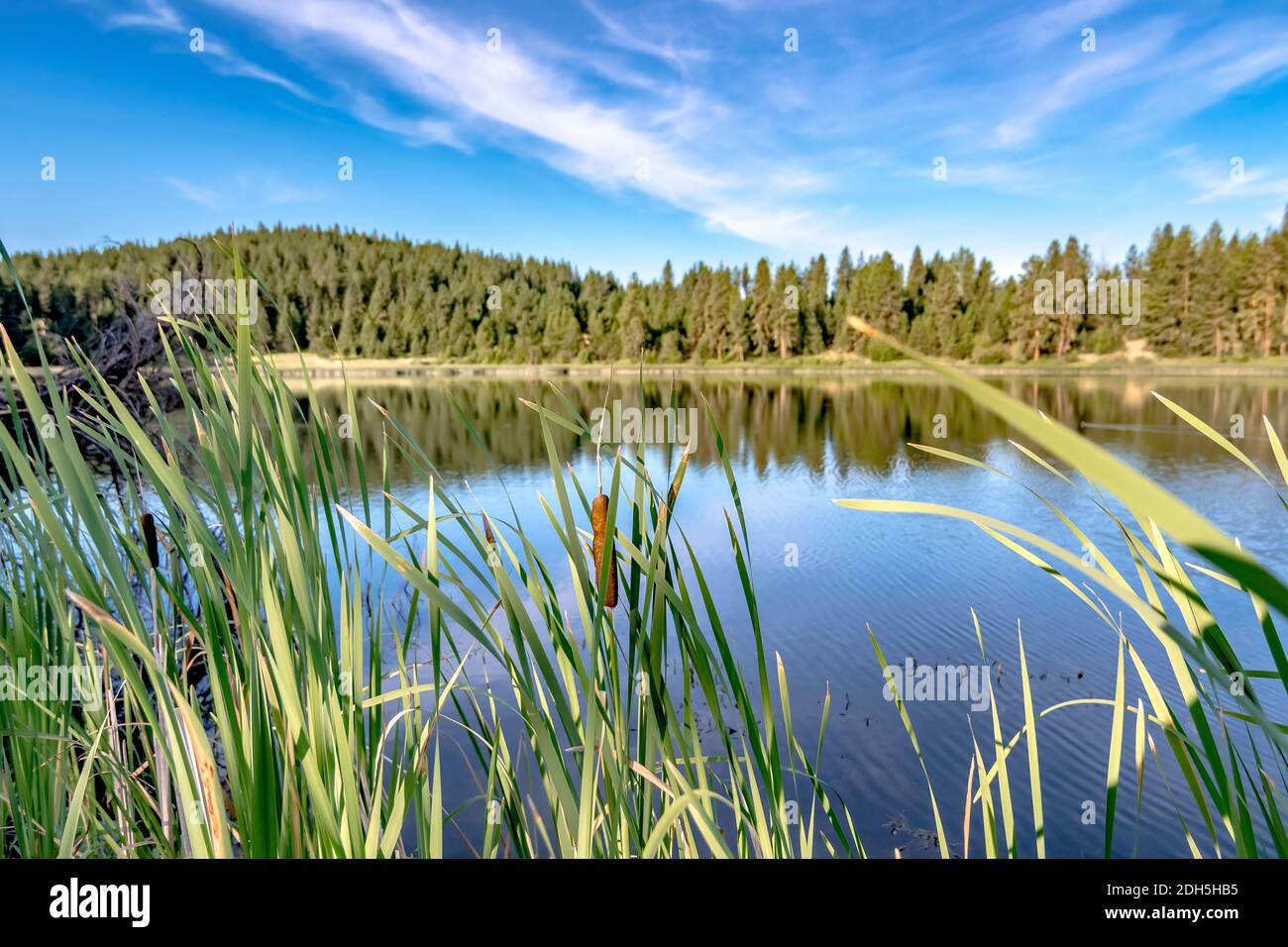 Boundary washington hi-res stock photography and images - Alamy
