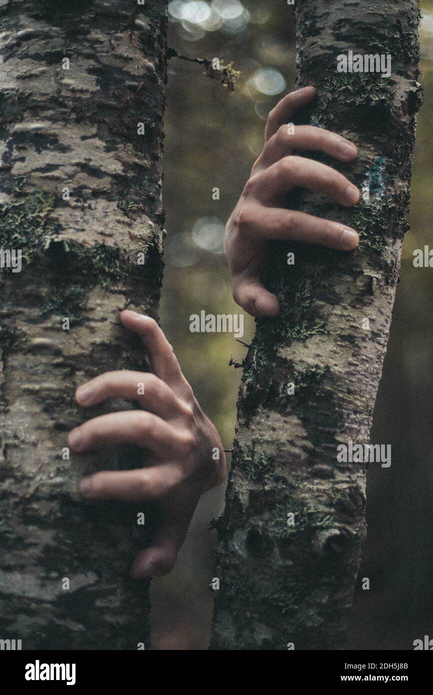 Grabbing tree hi-res stock photography and images - Alamy