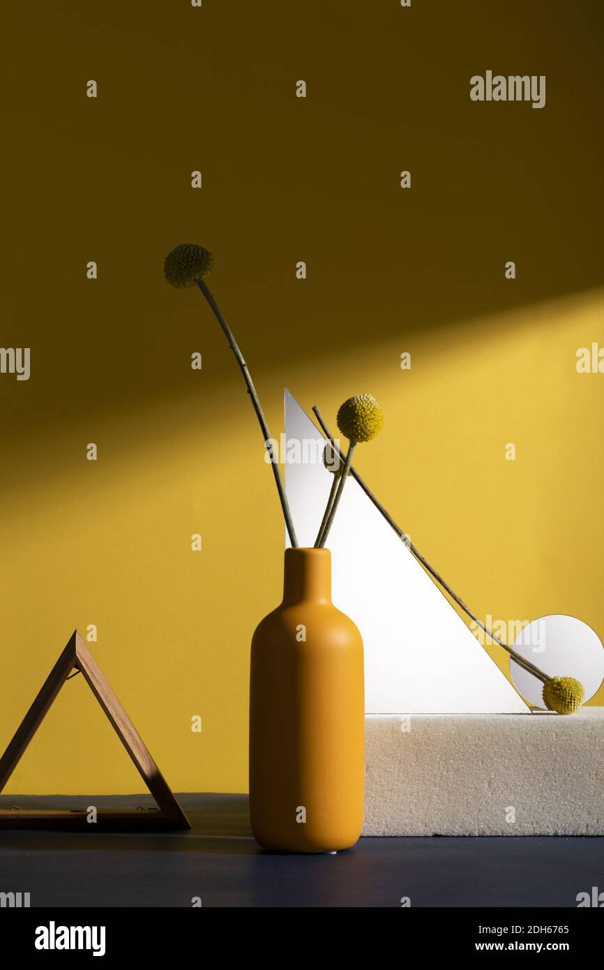 A composition with yellow craspedia flowers in a vase against a yellow wall with geometrical shapes Stock Photo