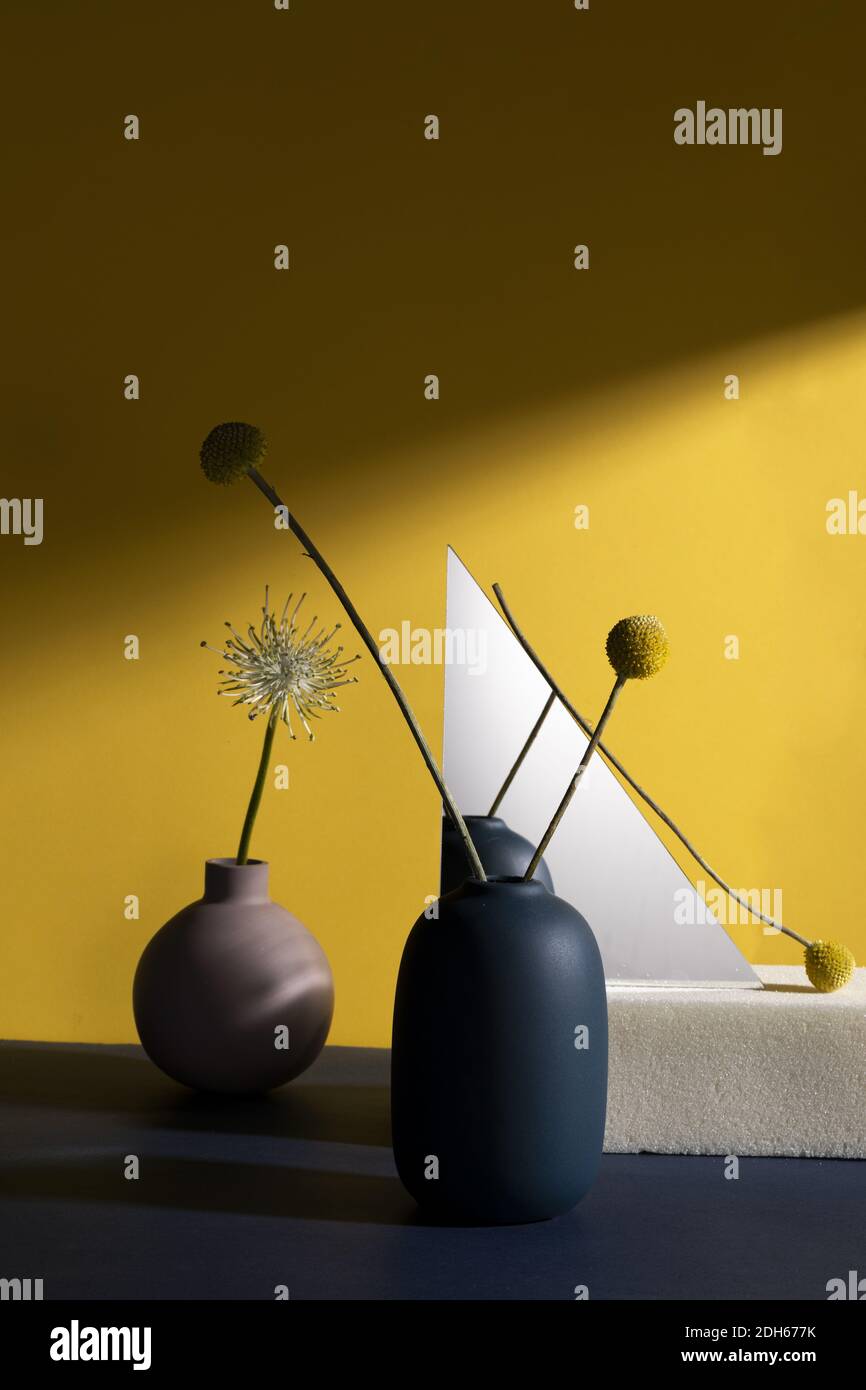 A composition with yellow craspedia flowers  and a dandelion in a vase against a yellow wall with geometrical shapes and shadow Stock Photo