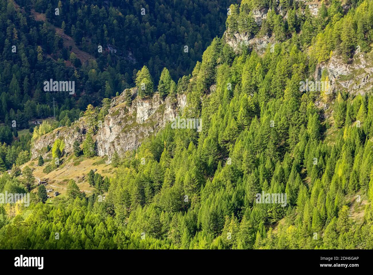 Aerial mountain forest, Switzerland, Swiss Alps Stock Photo