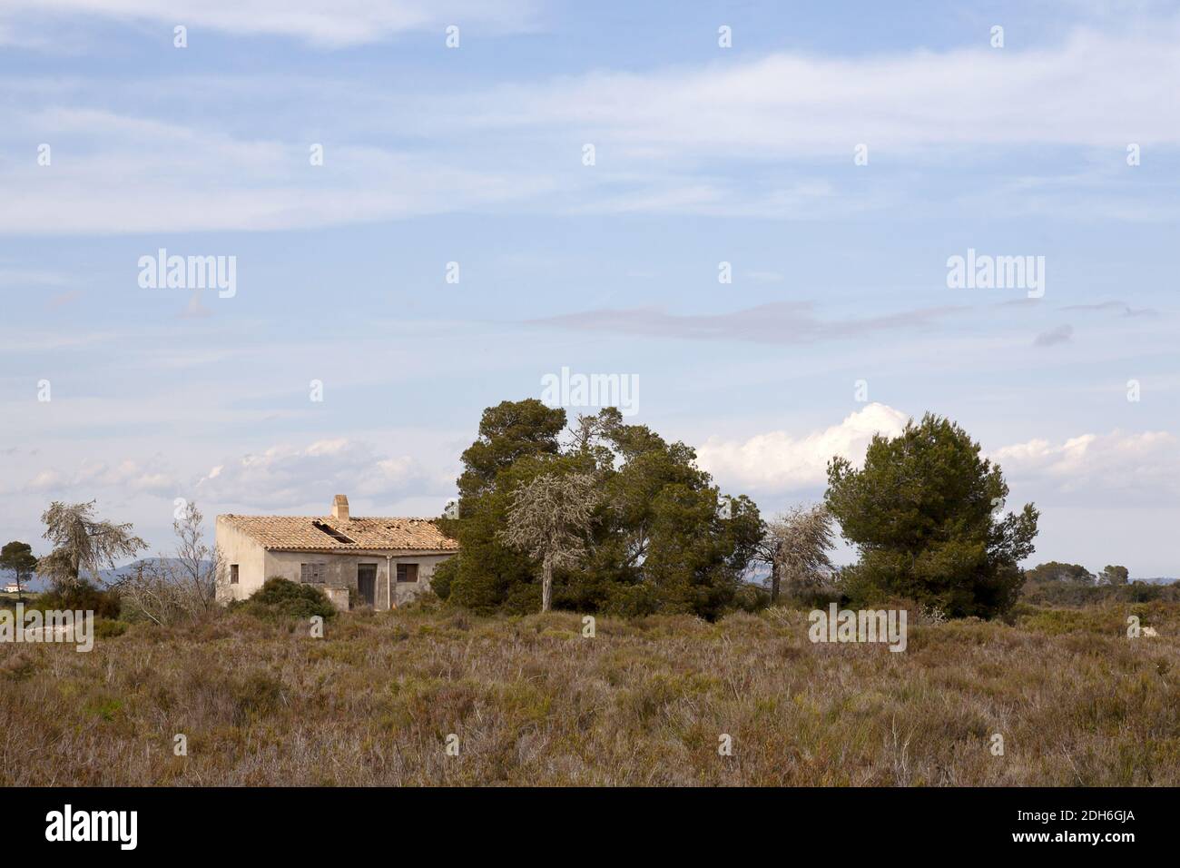 The rural Mallorca Stock Photo