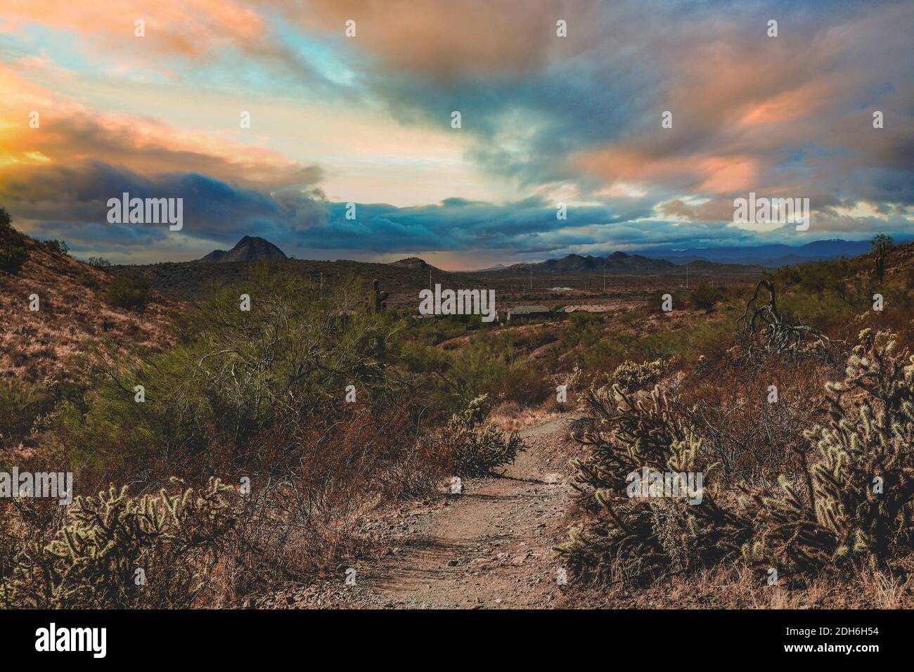 Adobe house desert arizona hires stock photography and images Alamy