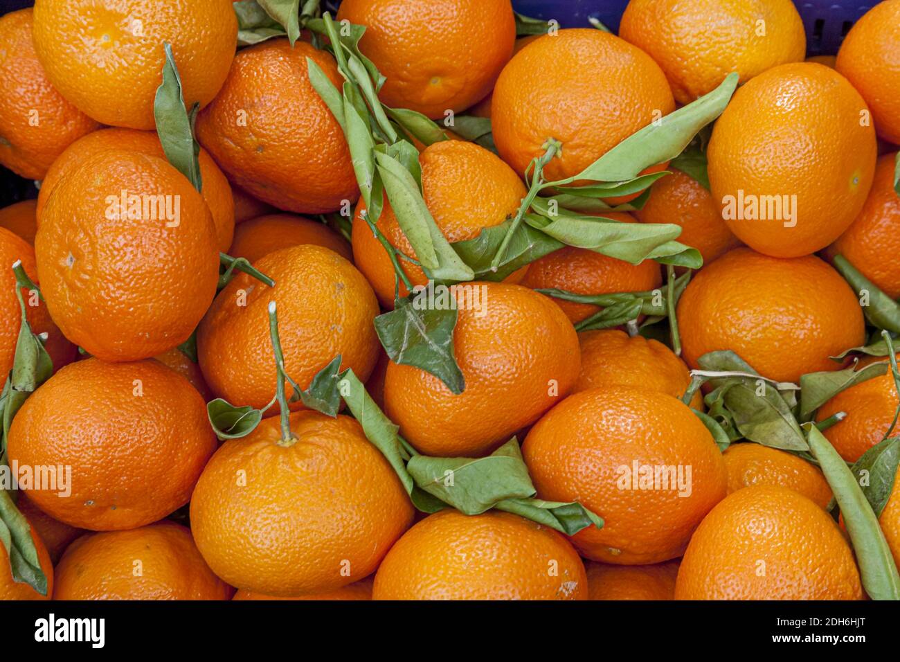 Clementinen Stock Photo