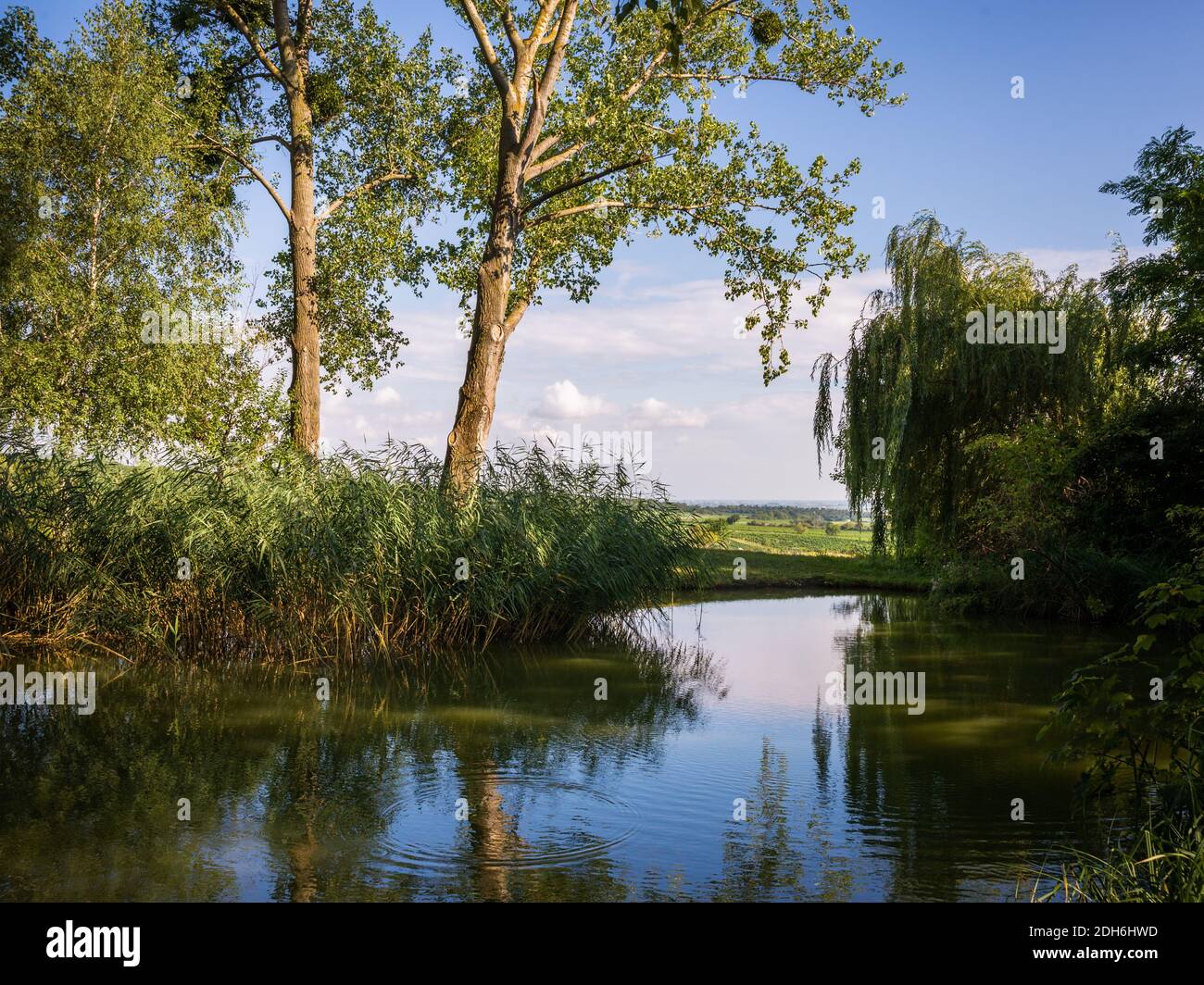 Small pond called Donnerbrunnen at Jois in Burgenland Stock Photo