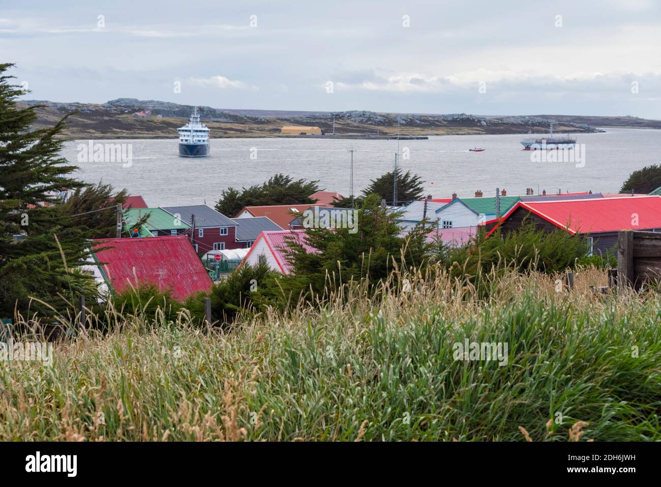 Houses on the beach, Port Stanley, Falkland Islands Stock Photo