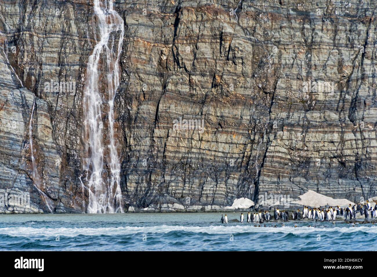 King penguins on the beach with waterfall, Gold Harbor, South Georgia Island Stock Photo