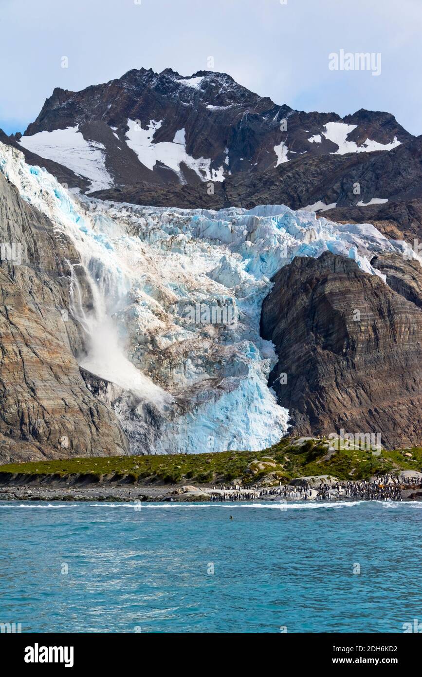 Avalanche on the island, Gold Harbor, South Georgia, Antarctica Stock Photo