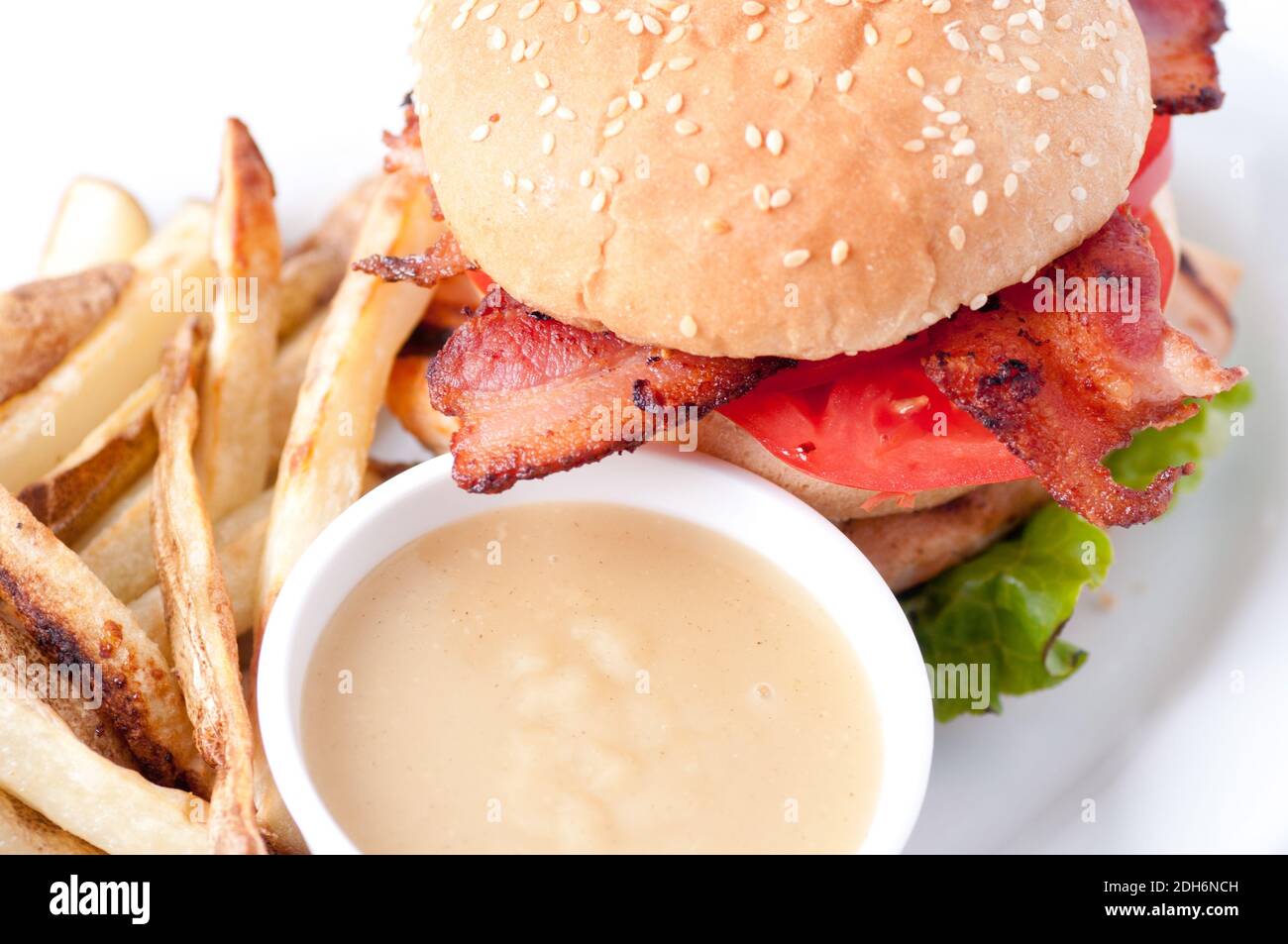 clubhouse sandwich on a burger bun with crispy fries and gravy Stock