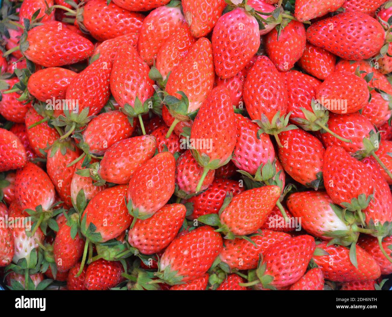 groups of fresh red strawberries on the stall for selling Stock Photo ...