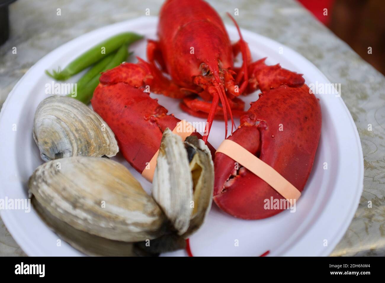 Lobster, Clam Bake Meal in Maine Stock Photo Alamy