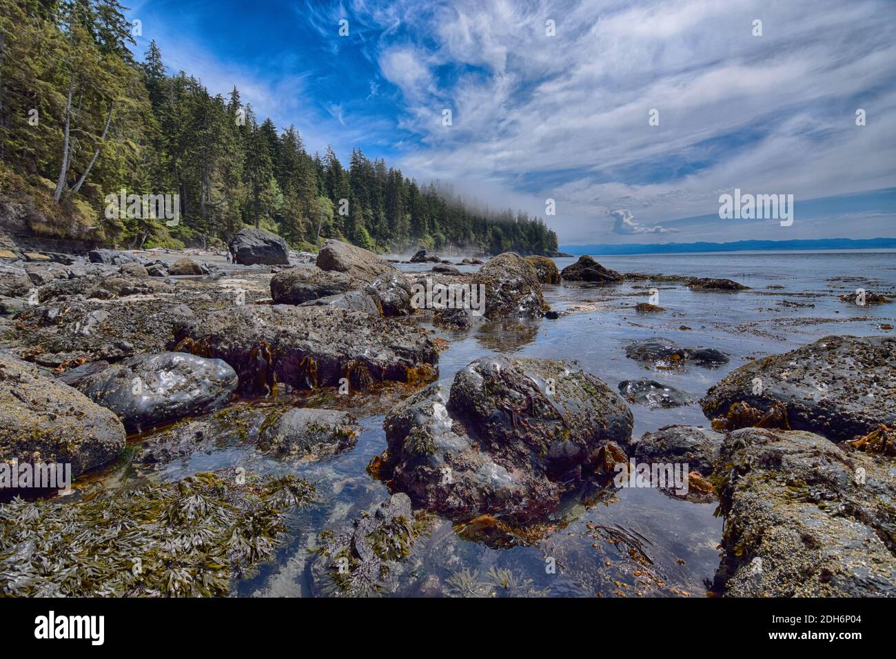 Mystic Beach, Vancouver, British Columbia Stock Photo