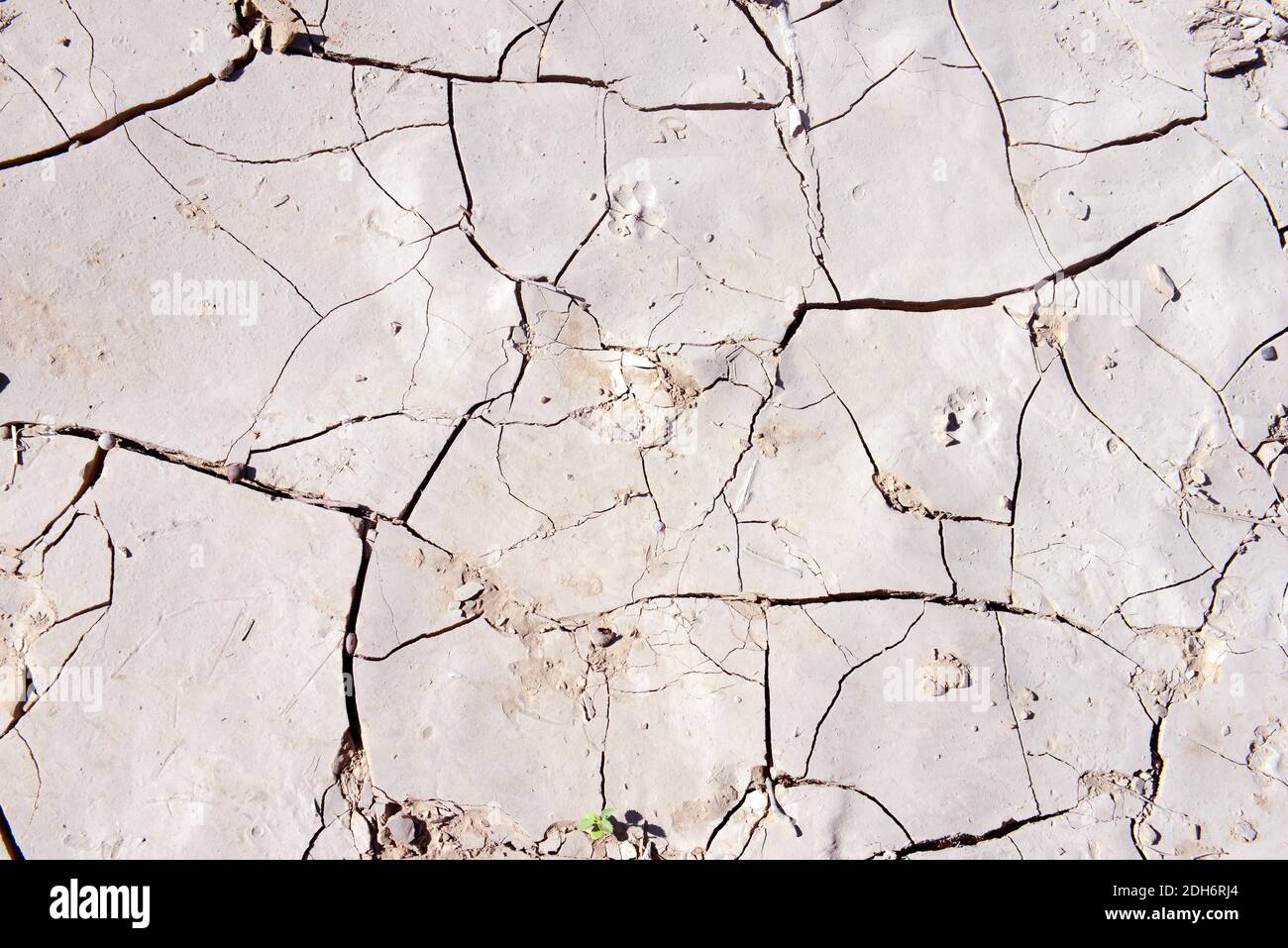Clay Soil High Resolution Stock Photography And Images Alamy