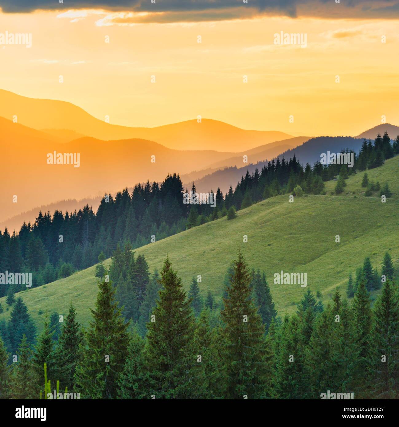 Vision and beautiful scenery hi-res stock photography and images - Alamy
