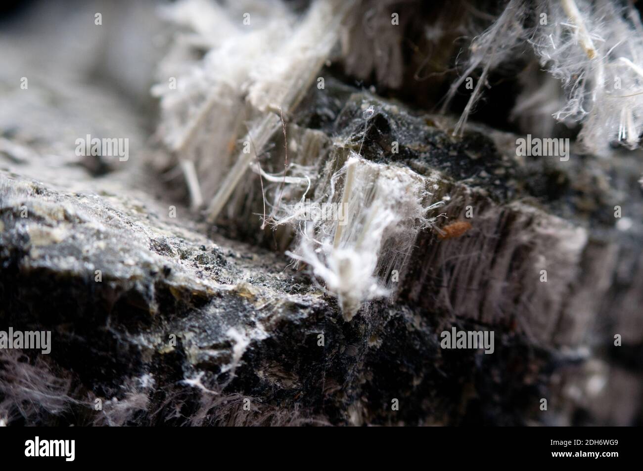 asbestos chrysotile fibers that cause lung disease, COPD, lung cancer