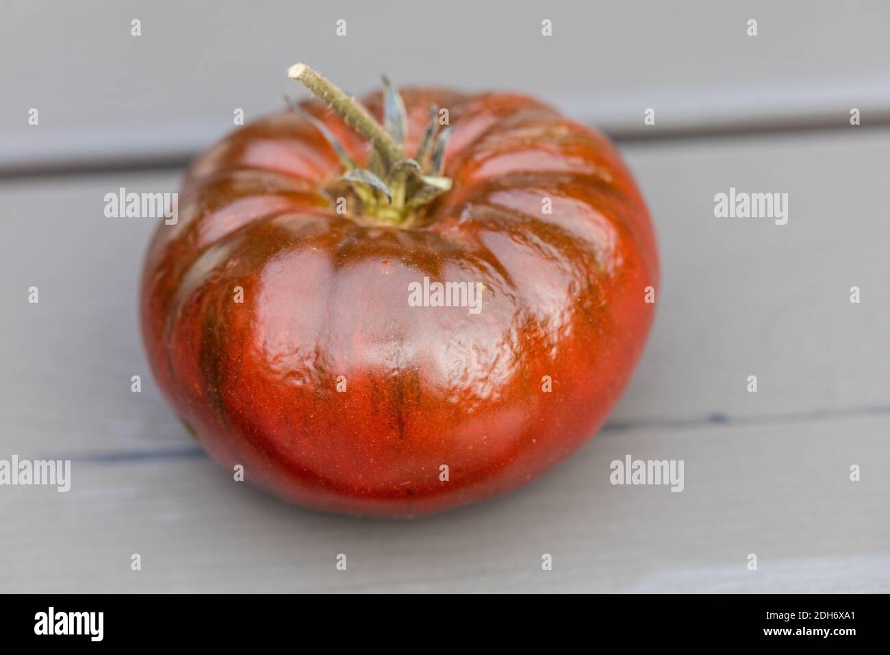 'Marmande' Tomato, Tomat (Solanum lycopersicum) Stock Photo