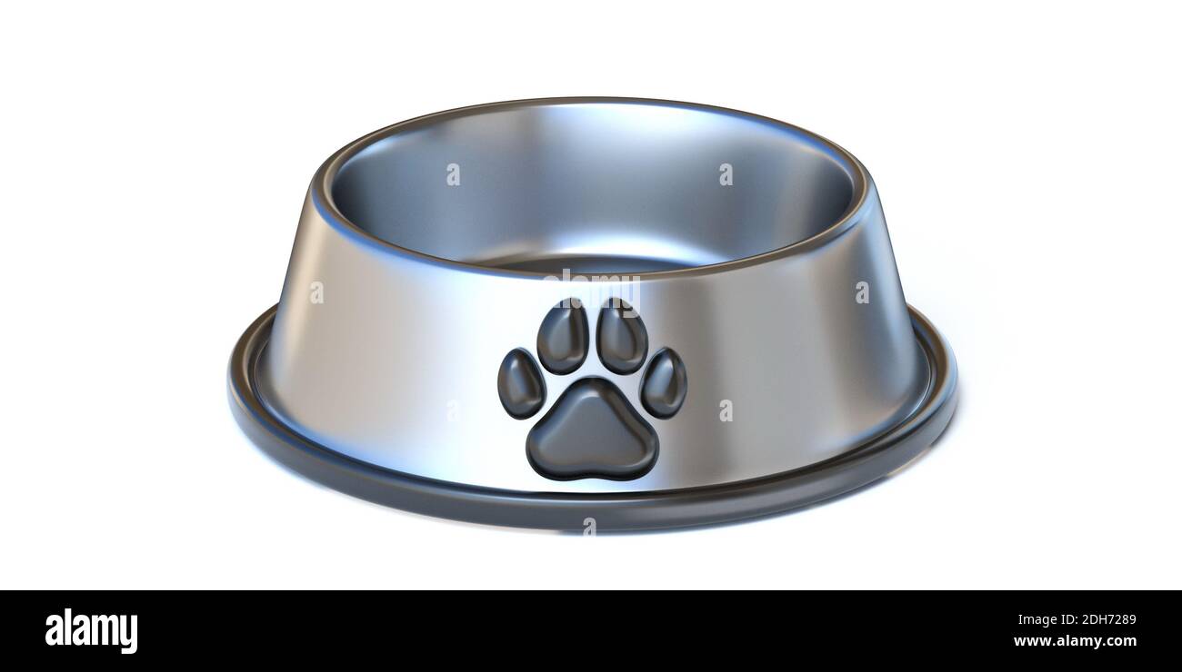 Stainless steel pet food bowl 3D Stock Photo