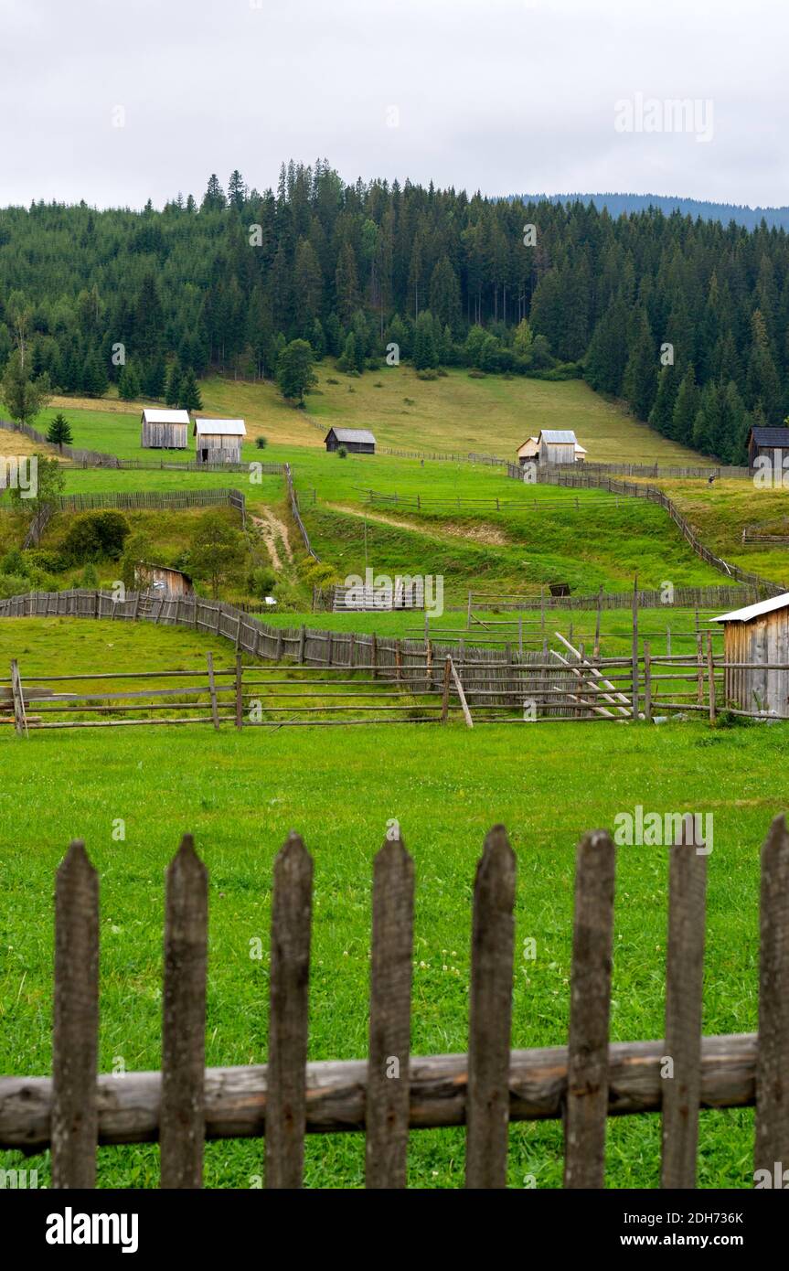 Beautiful landscape with hills in Bukovina region, Romania Stock Photo