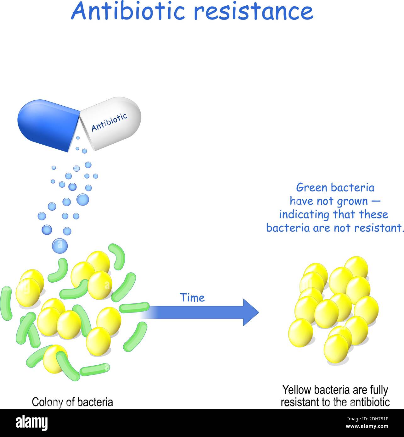 Antibiotic Resistance Hi res Stock Photography And Images Alamy