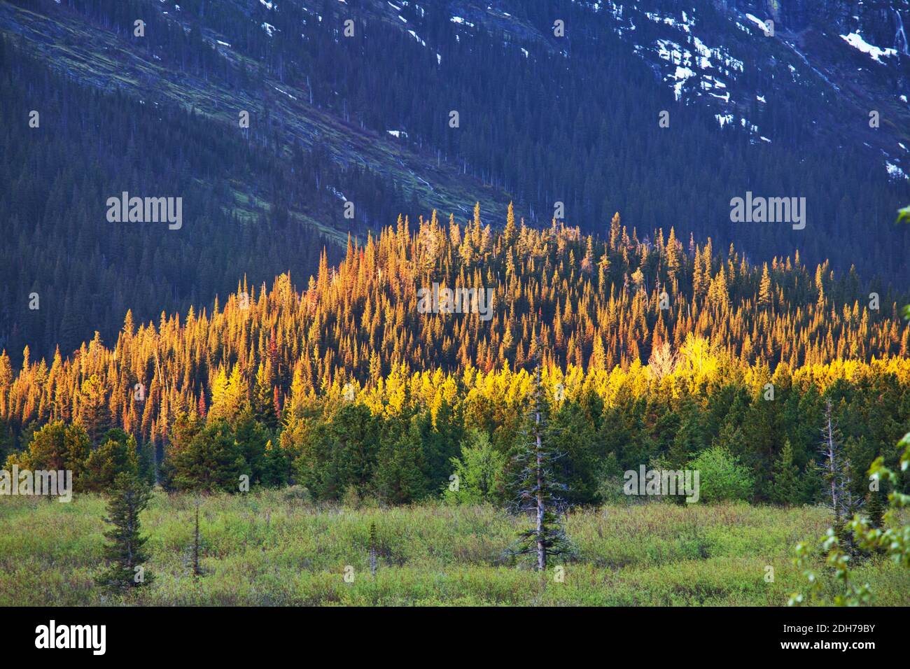 Mt washington summit house hi-res stock photography and images - Alamy
