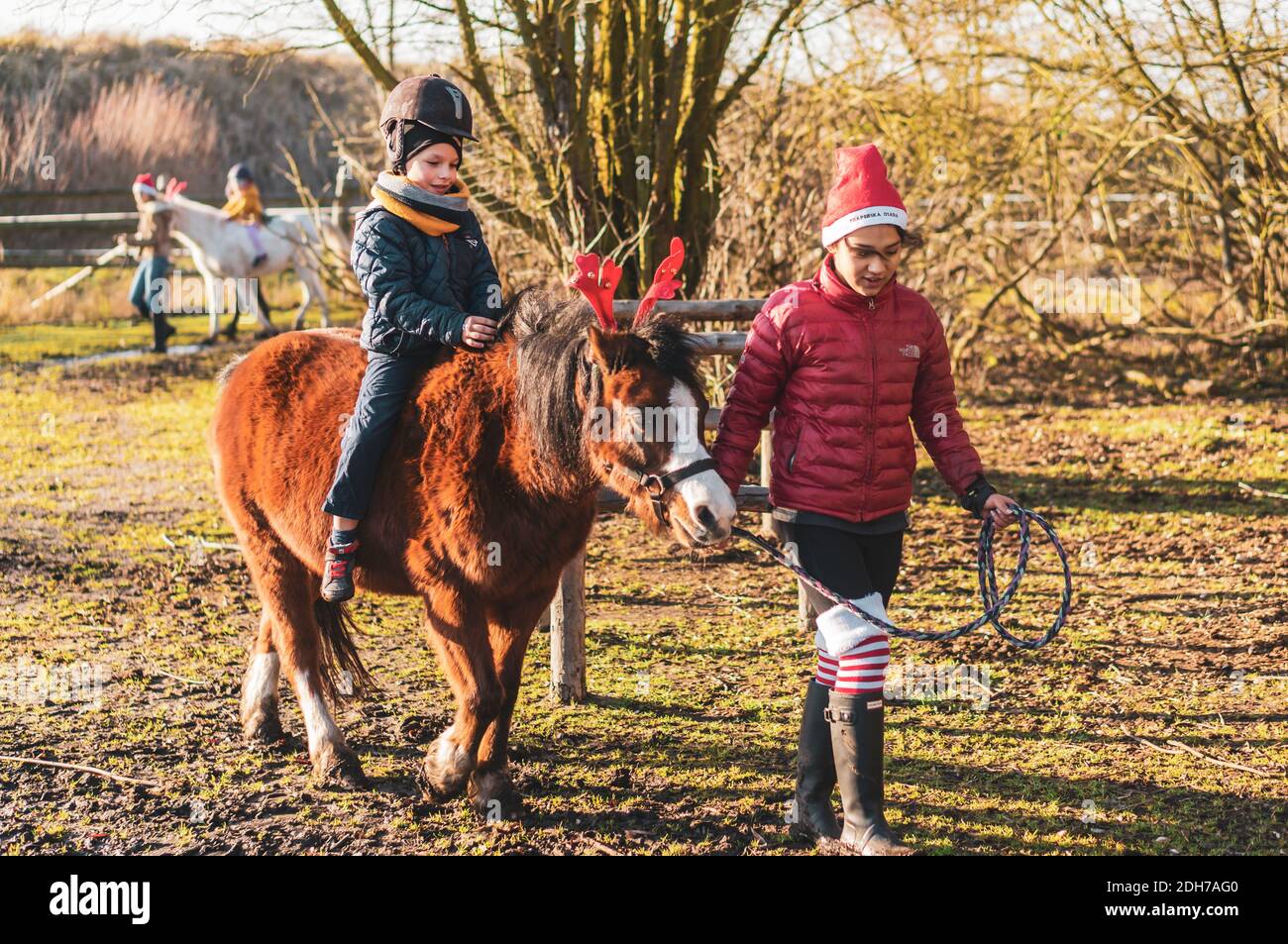 BOLECHOWKO, POLAND - Dec 06, 2020: Young girl with Christmas hat pulling a  boy sitting on a small pony at the Traperska Osada farm Stock Photo - Alamy