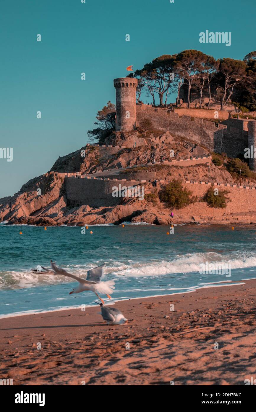 Vistas al castillo de Tossa de Mar con la playa olas y gaviotas volando Stock Photo