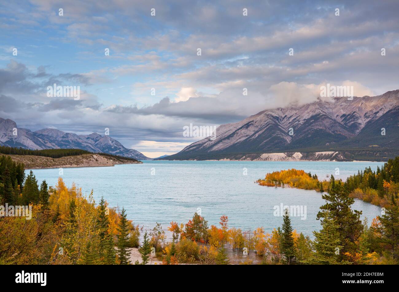 Canada maple forest hi-res stock photography and images - Alamy