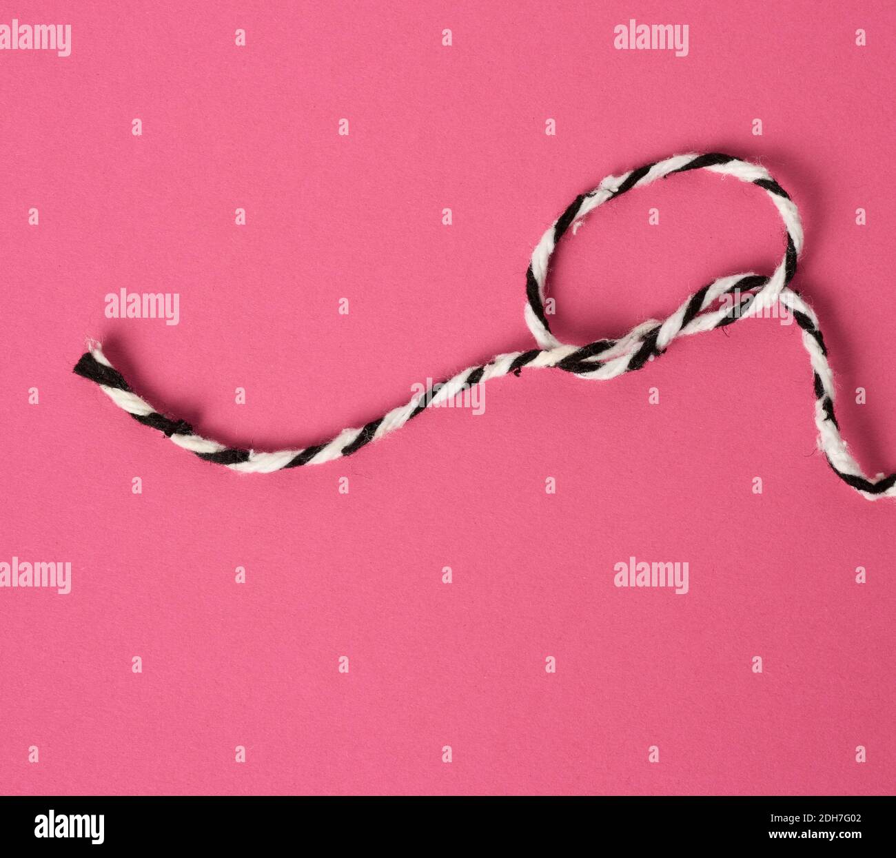 Whiteblack rope on a pink background twisted into a loop Stock Photo