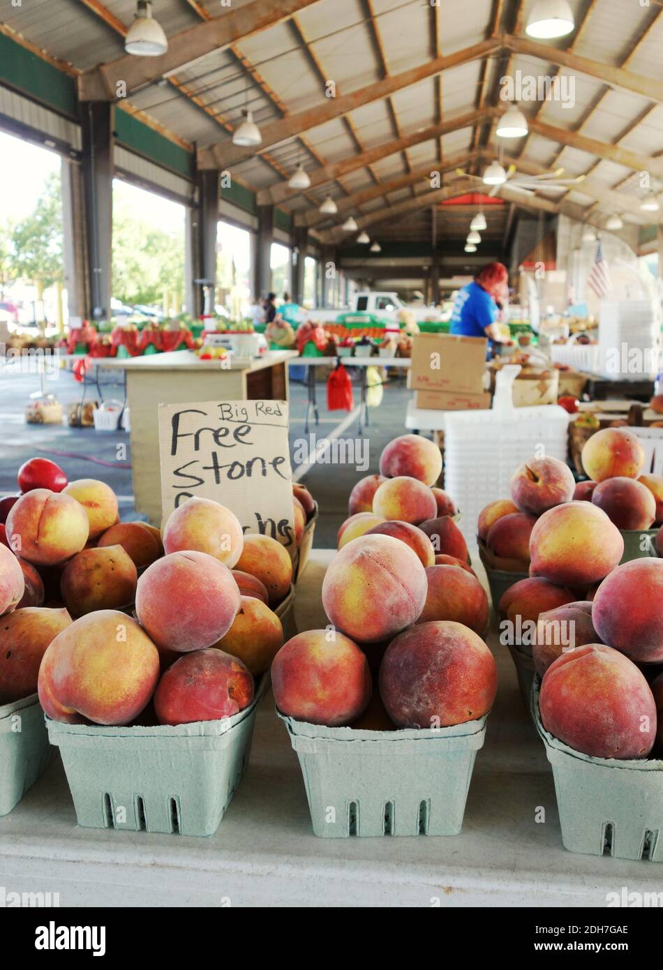 Fresh peaches at the North Carolina State Farmers Market in Raleigh, NC Stock Photo