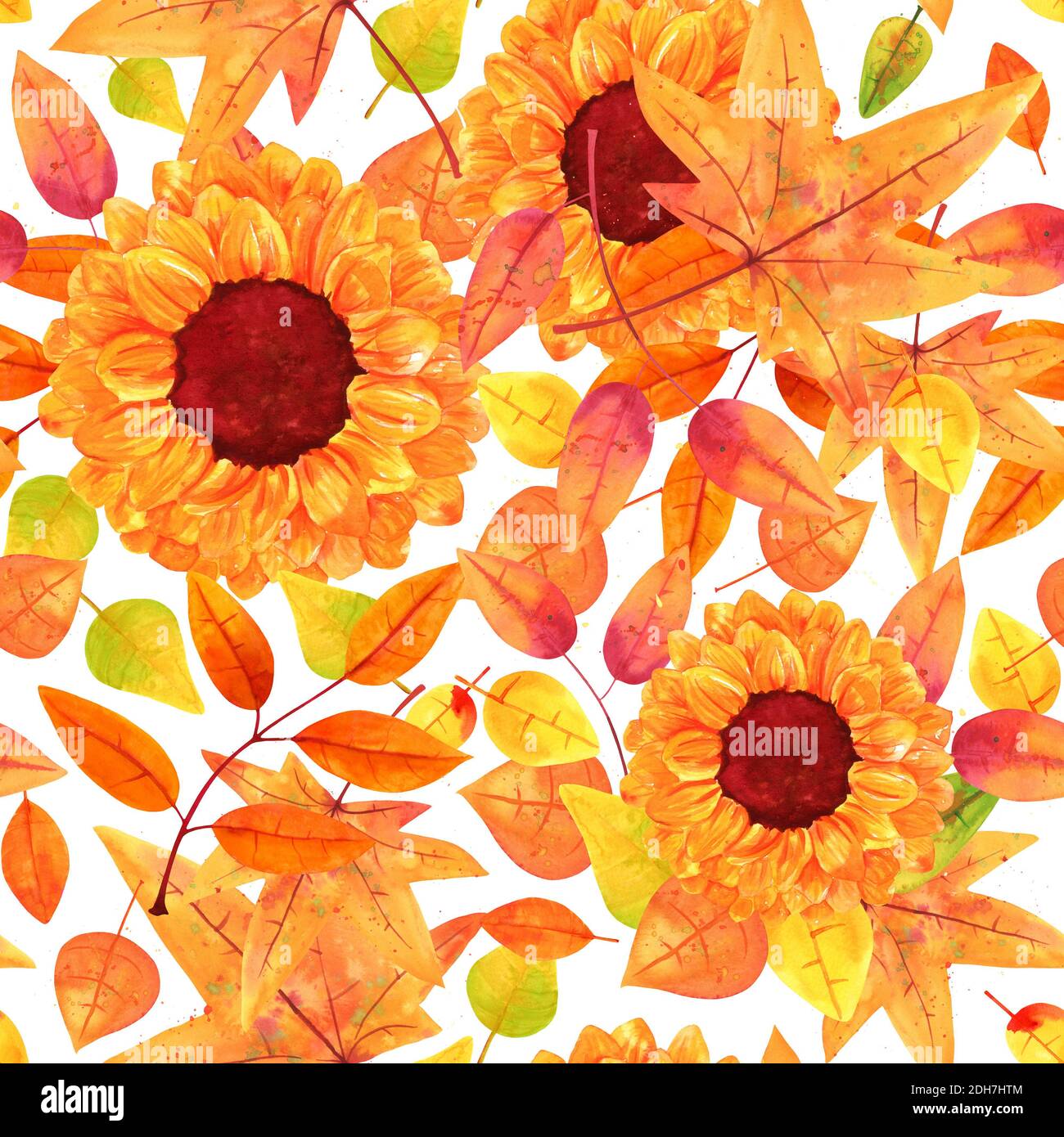 Falling sunflowers hi-res stock photography and images - Alamy