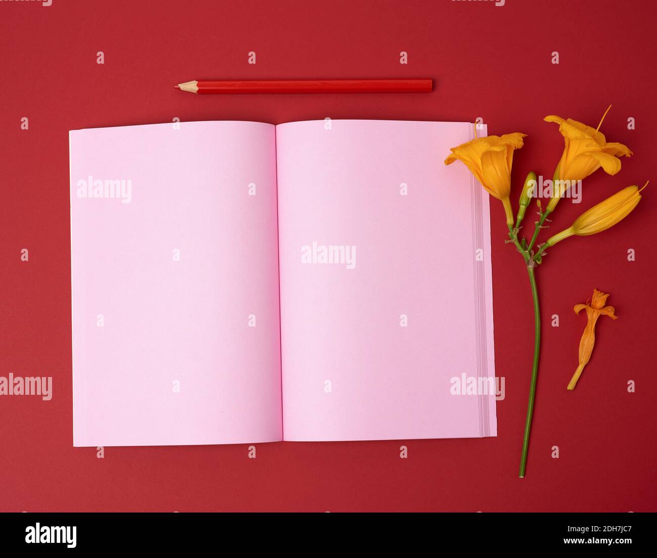 Open notebook with empty pink sheets and yellow flower on a red background Stock Photo