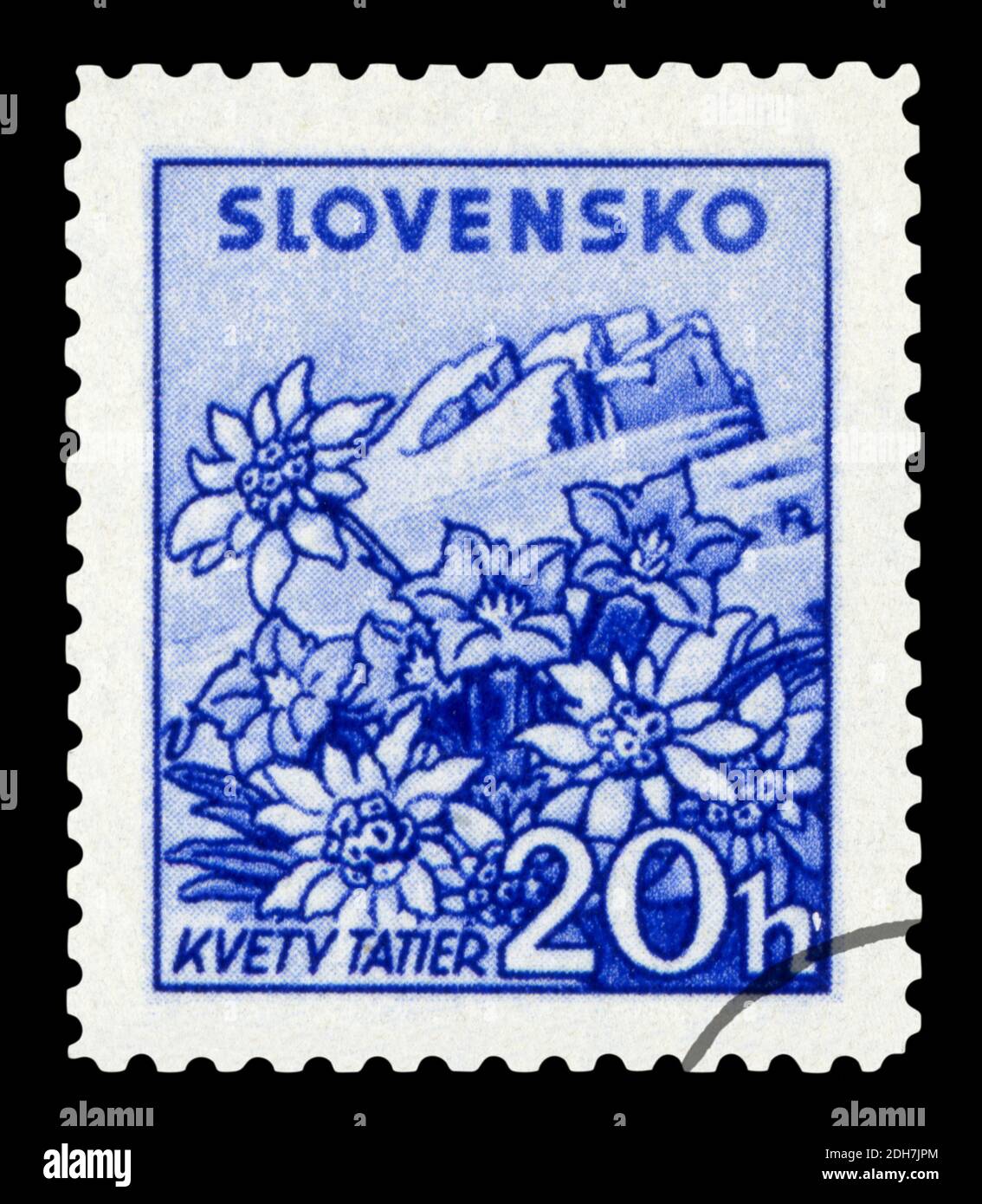 SLOVAKIA - CIRCA 1943: A stamp printed in Slovakia showing flowers located in High tatra mountains, circa 1943. Stock Photo