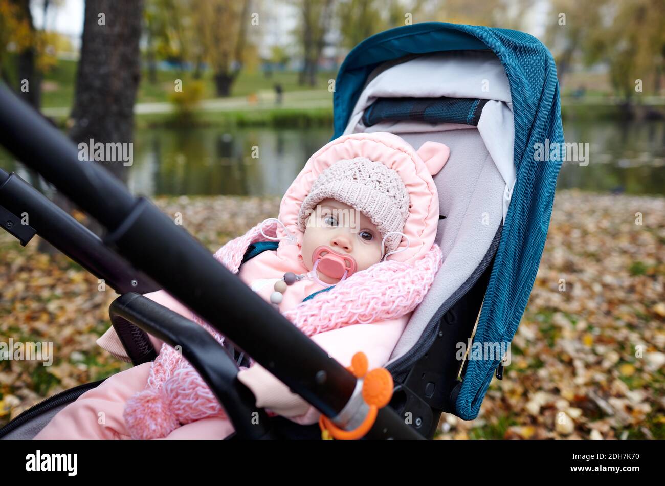 Baby in stroller on a walk in autumn park. Adorable little girl in warm clothes sitting in blue pushchair. Child with nipple in buggy Stock Photo