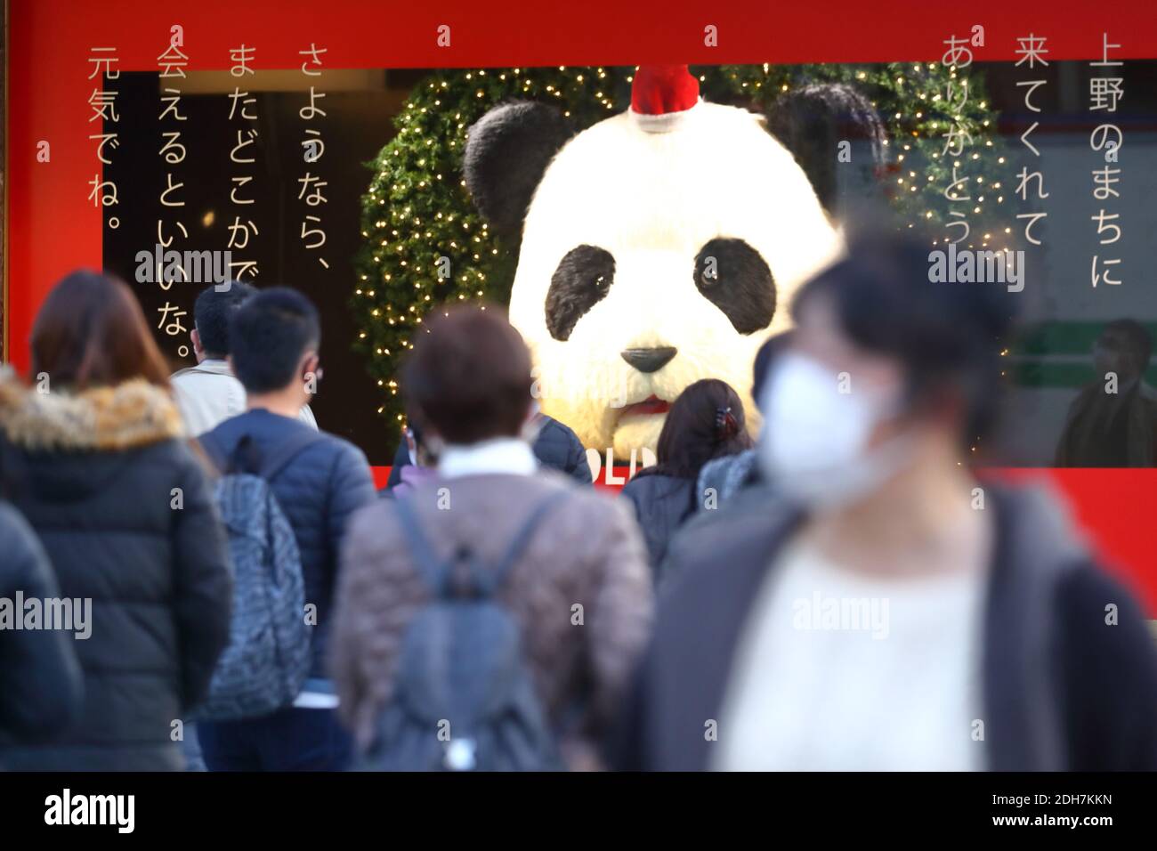 Thank-You celebration for popular female giant panda Xiang Xiang are displayed in Tokyo's Ueno area, Japan on December 9, 2020. Xiang Xiang is currently loaned to the Tokyo zoo by the Chinese government, and will be returned to China by December 31, 2020. (Photo by Naoki Nishimura/AFLO) Stock Photo
