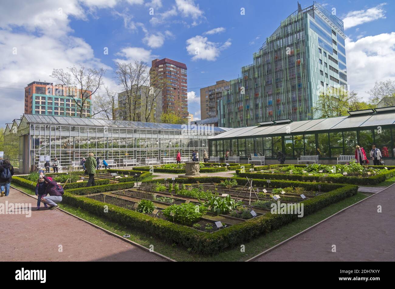 Medicinal garden plants hi-res stock photography and images - Alamy