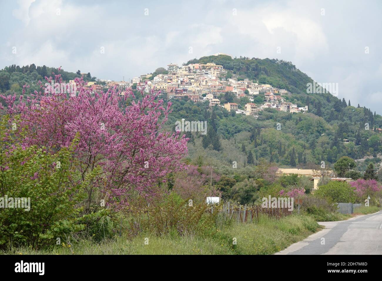 Pelekas on Corfu Stock Photo - Alamy