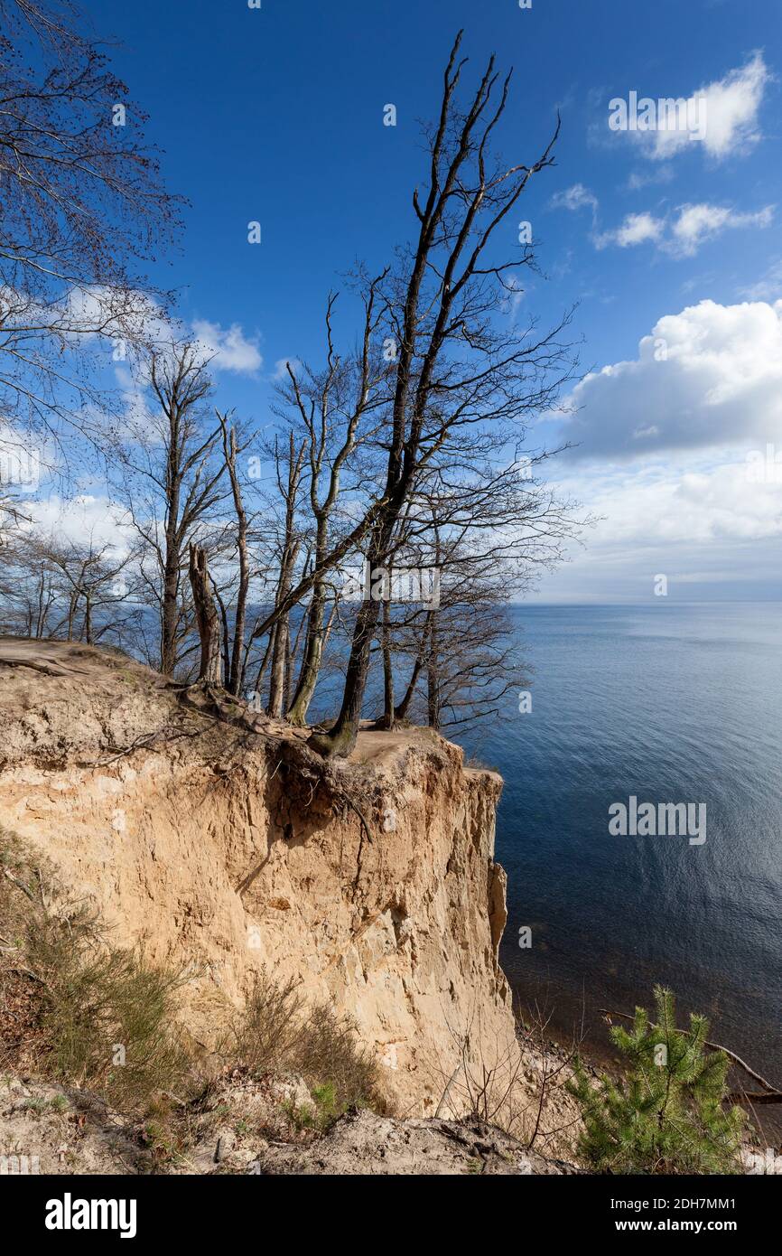 Gdynia, Poland. Orlowo high cliff over the Gdansk Bay  / Baltic Sea Stock Photo