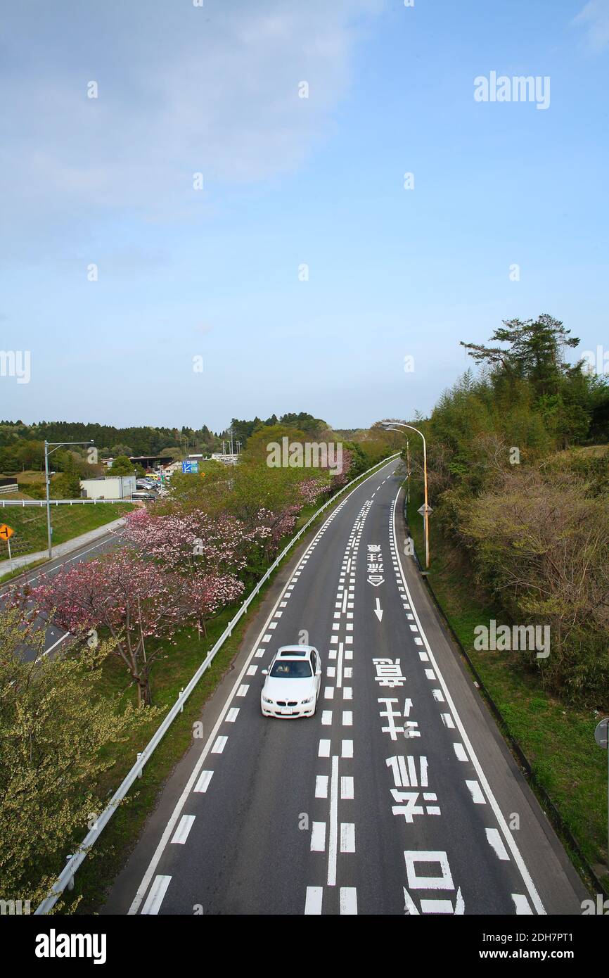 Landscape of Spring tress with a leading road in Japan Stock Photo