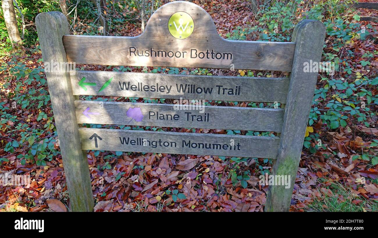 Photos for a feature on Wellesley Woodland, Aldershot - Autumn weekend walks feature. Woodland trail sign, Thursday 12th November 2020. Stock Photo