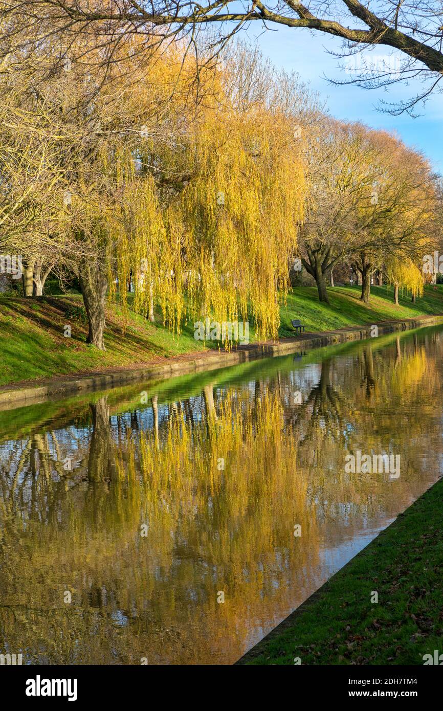 Autumnal trees reflecting in The Royal Military Canal, Hythe, Kent