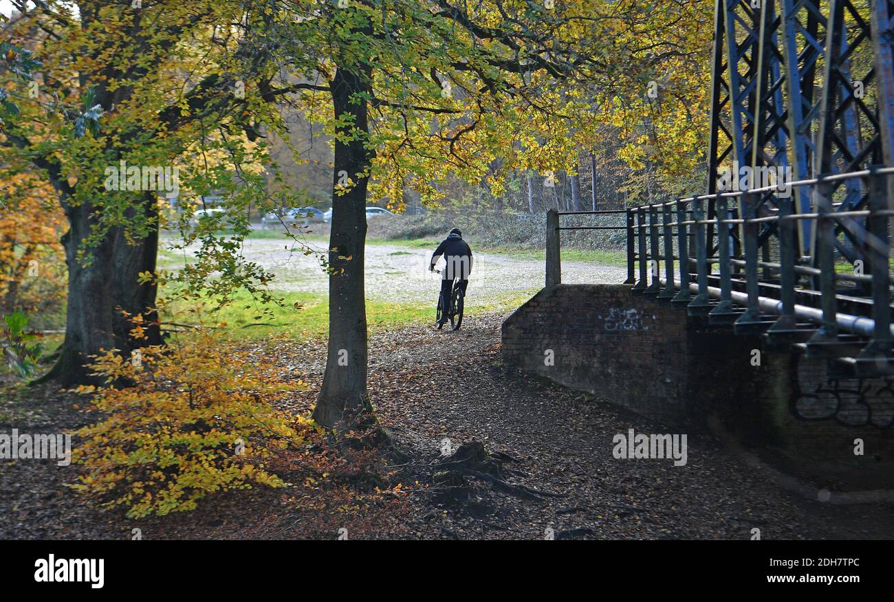 Photos for a feature on Wellesley Woodland, Aldershot - Autumn weekend walks feature. Bridge over the Basingstoke Canal. Stock Photo