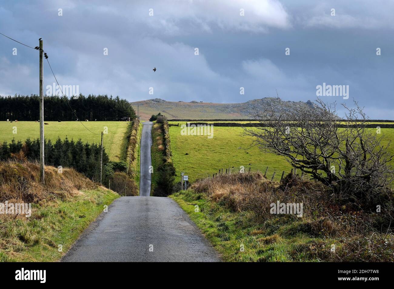 The road to Showery Tor and Rough Tor on Bodmin Moor.Thursday 12th November 2020. Stock Photo