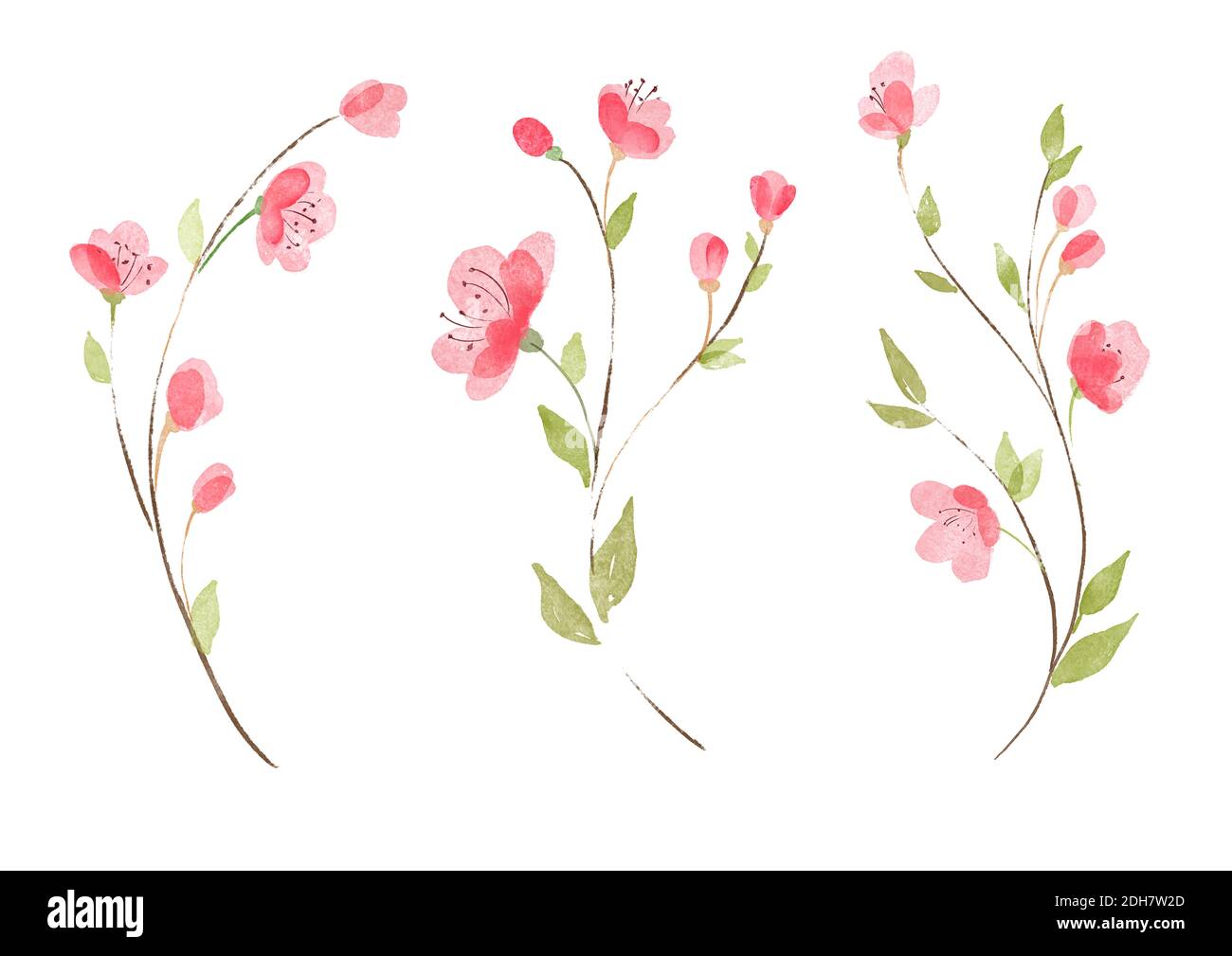 Set of hand drawn watercolor flowers. Isolated on white background ...